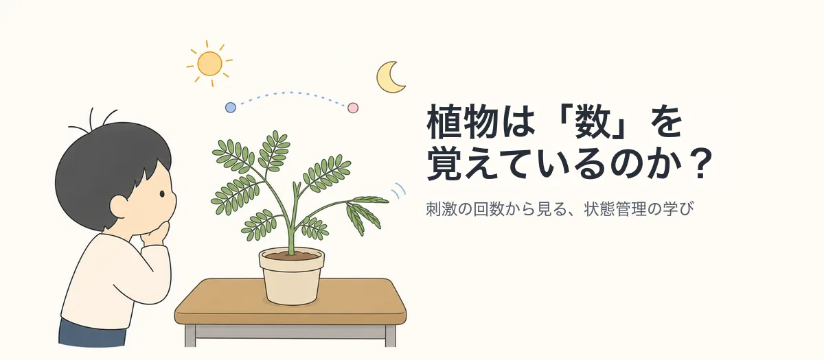 記事画像: 植物は「数」を覚えているのか?